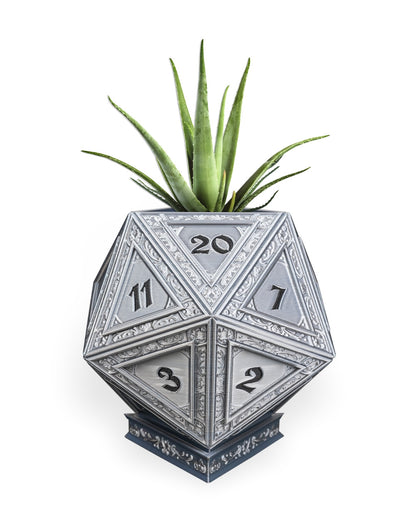 Champion's D20