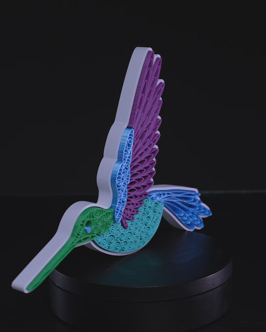 Quilled Humming Bird