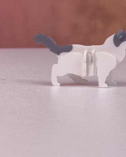 Pet Animals - Kit Cards