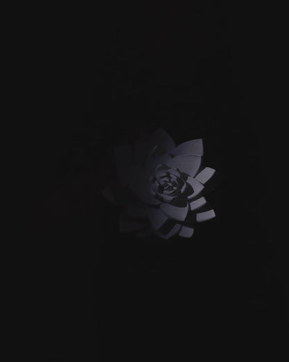 The Lotus Wall Light
